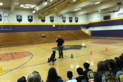 2019 LEAD Field Day K-9 demonstration by Middlesex County Sheriff's Office