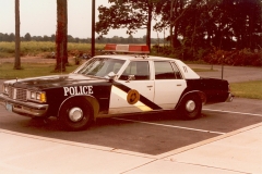 believed to be a late 70's early 80's Pontiac Catalina in the parking lot of the current Police Station